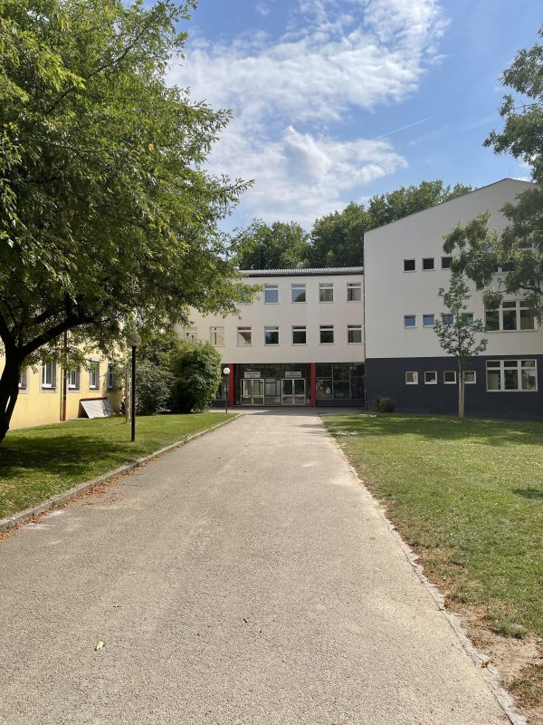 At age 8, I feel stupid in this world and guilty about knowingly ignoring the prerogative of the Muslim religion