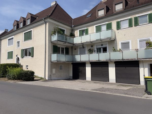 At age 10, I enjoy being friends with the twin brothers living next door