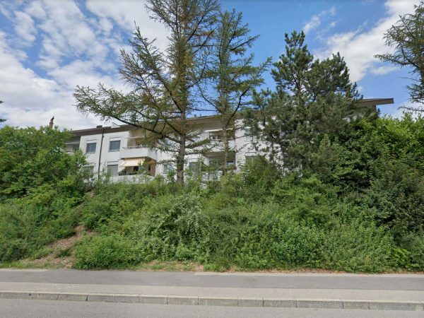 At age 21, my mother sends me a ticket so I can visit her in Switzerland, I go cold turkey and abruptly quit taking addictive drugs