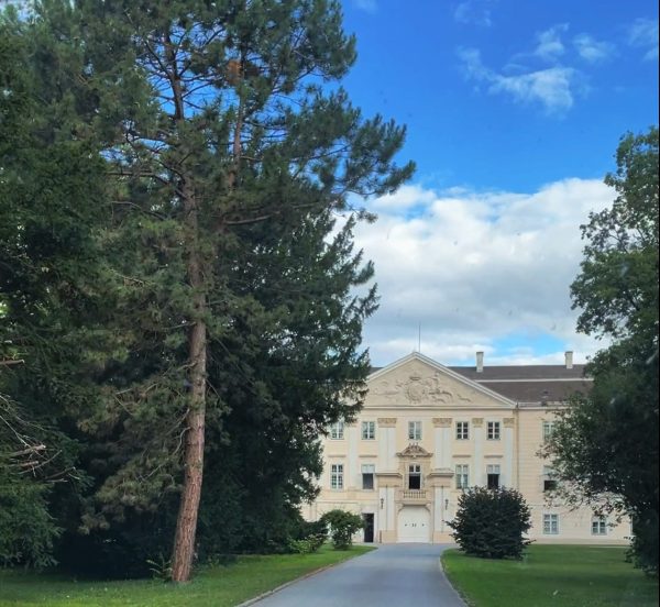 Since age 22, I am on drug substitution, live in prison, and await pending cases concerning my aggression toward other inmates