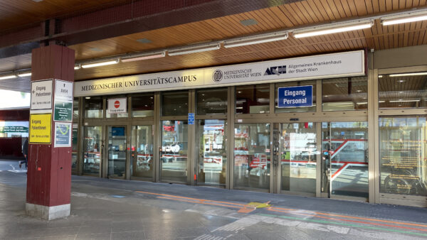 After the death of my brother, I am born in Vienna — my mother's second child