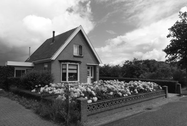 At age 17, I fall in love with a compulsive gambler