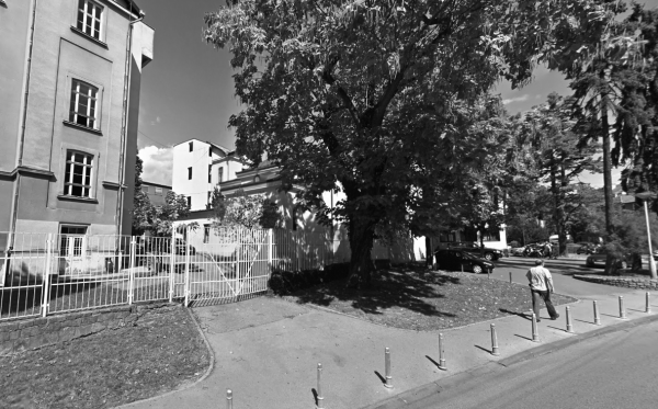 At age 14, my father is admitted to hospital and I blame my mother for it