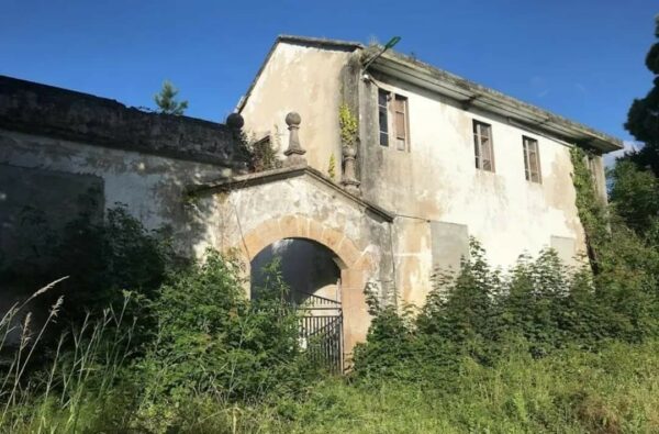 At age 27, I welcome my son to Le Patriarche to live with me, but he feels unhappy, so I leave with him and go to my parents' house