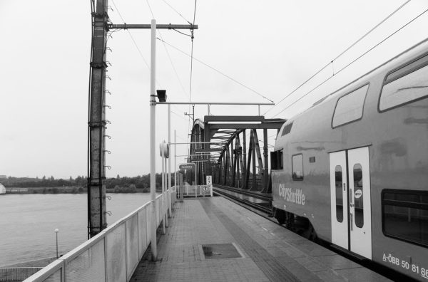 Seit dem Tod meines Freundes versuche ich mit allen Mitteln Selbstmord zu verüben und meine Großmutter leidet unter meiner Traurigkeit