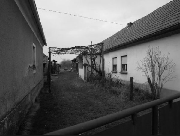 Mit 23 Jahren hoffe ich auf die heilsame Wirkung der Schamanenpflanze Iboga, um drogenfrei ein Kind zu bekommen