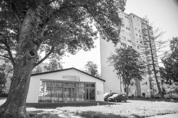 Mit 18 Jahren mache ich meine Matura in Graz und beginne zu studieren