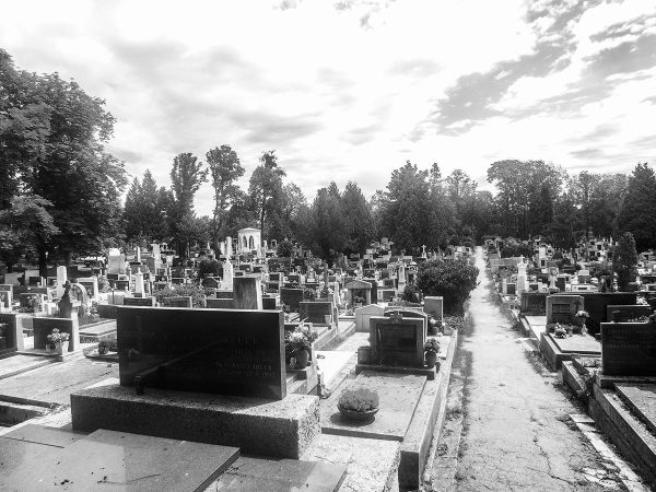 Ich bin die kleine Schwester meiner toten Schwester